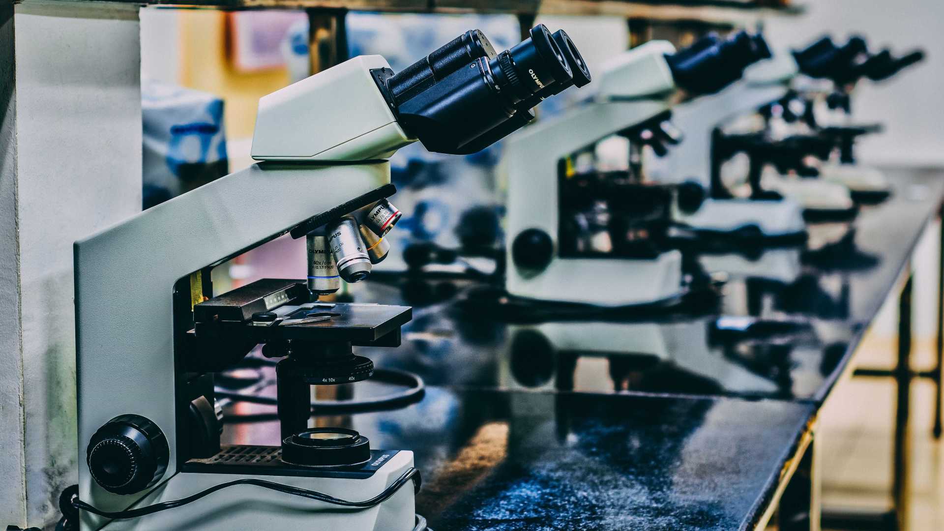 Cientistas criam teste de DNA capaz de prever quando se vai morrer