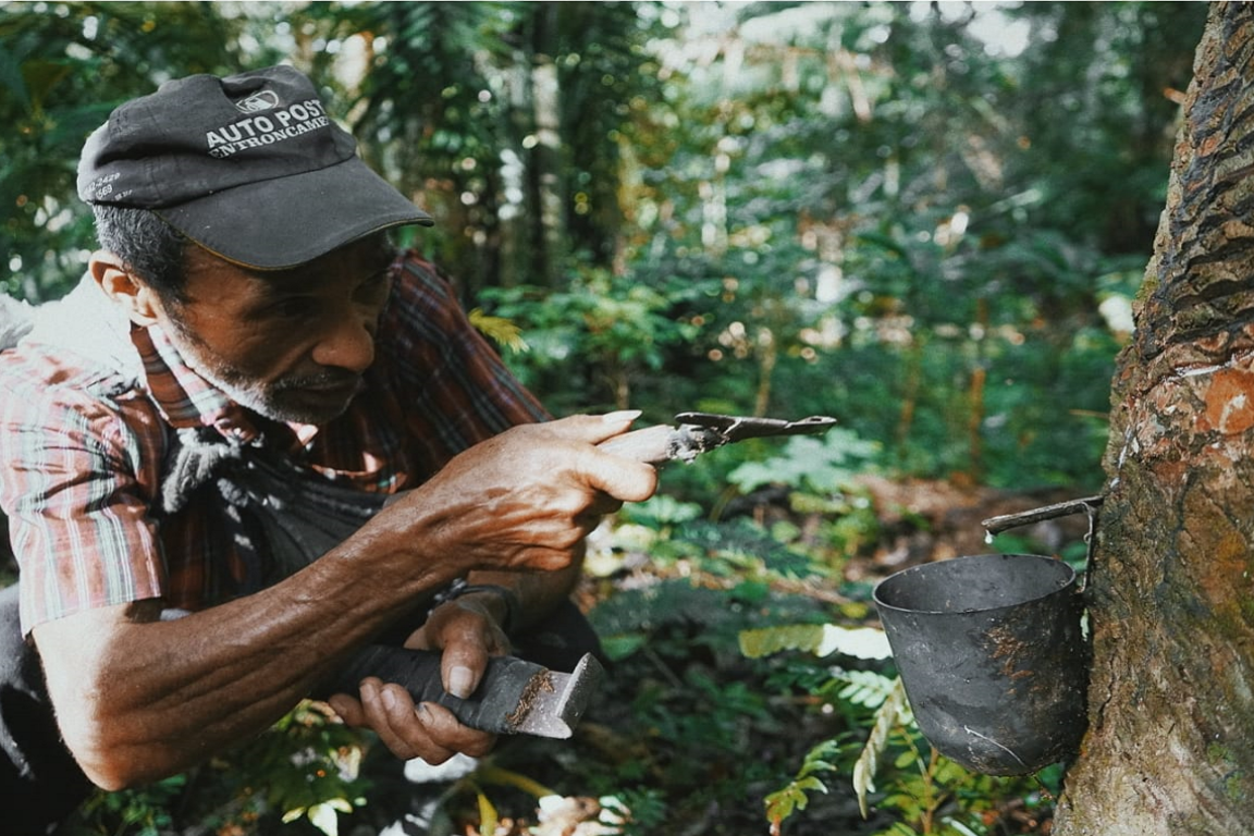 Documentário conta como é a vida dos seringueiros da Reserva Extrativista Chico Mendes