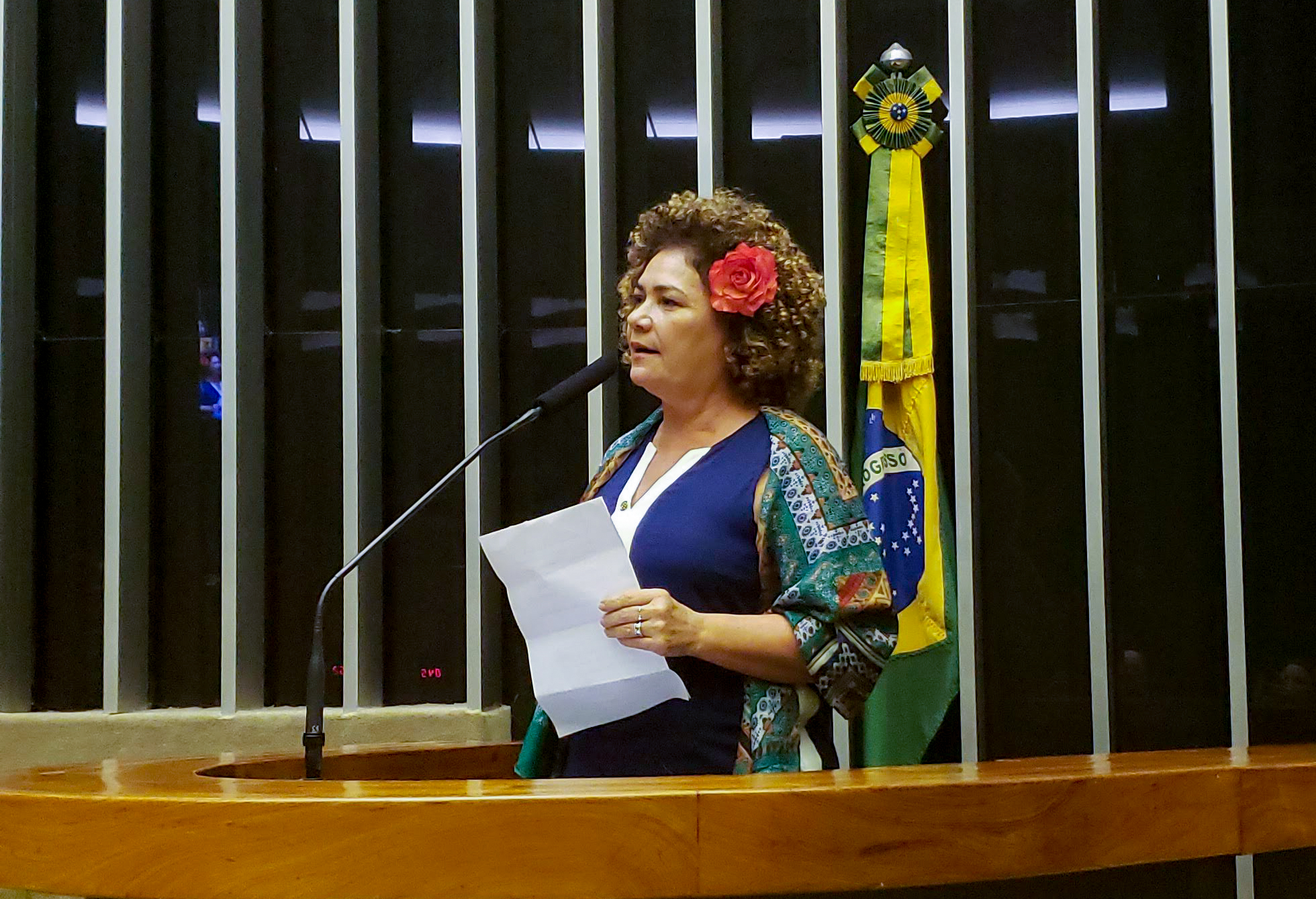 Na Câmara Federal, Perpétua Almeida conclama pela paz na América