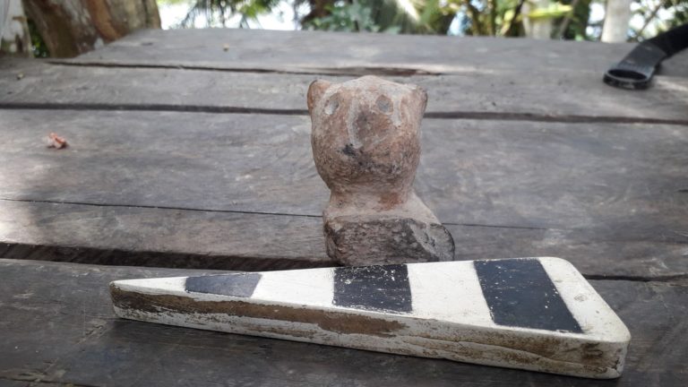 Pesquisador descobre dez novos sítios arqueológicos no interior da Amazônia