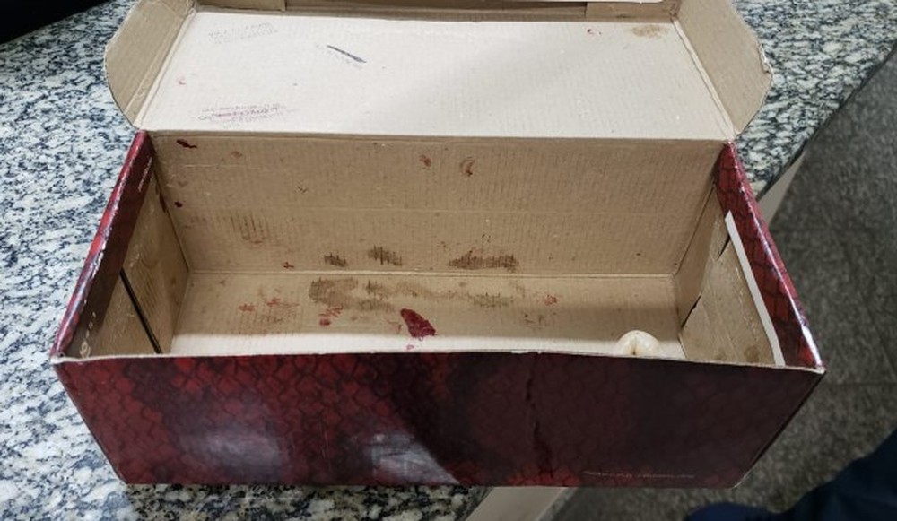 Bebê recém-nascido é encontrado ainda com cordão umbilical em caixa de sapato