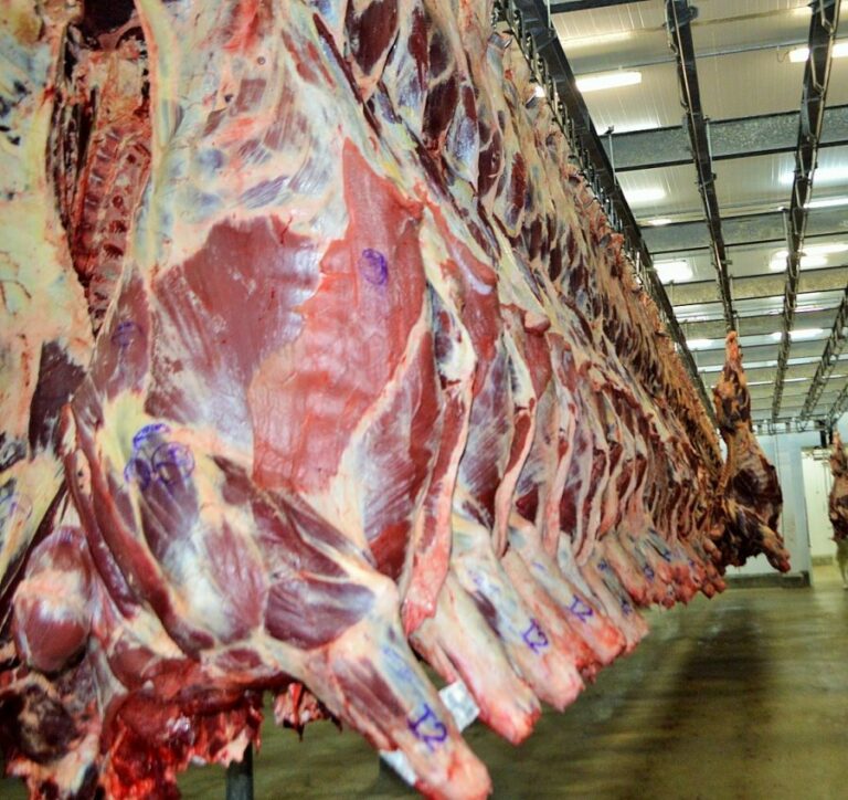 Selo de zona livre de aftosa vai aumentar preço da carne no AC, alerta economista