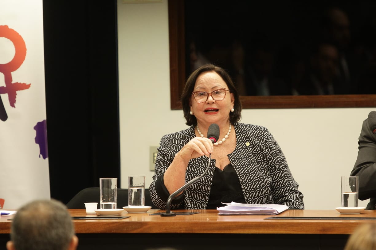 Solidariedade estimula participação da mulher na vida política, diz Vanda Milani