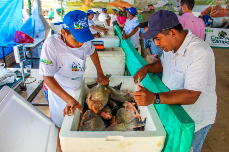 Prefeitura de Brasileia realiza a abertura de VI Feira do Peixe