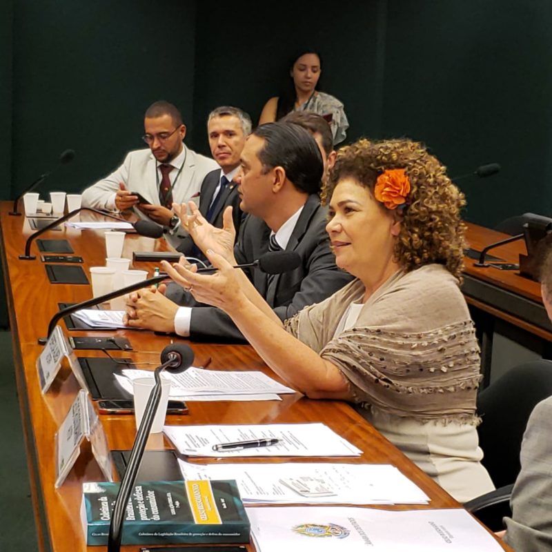 Perpétua CDC Assessoria 3