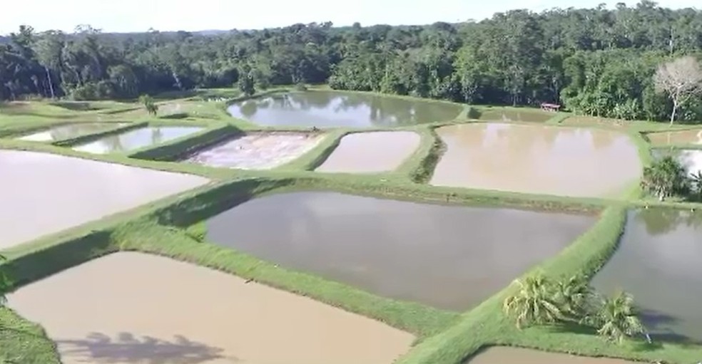 Acre possui 21 barragens com alto risco de rompimento, aponta estudo