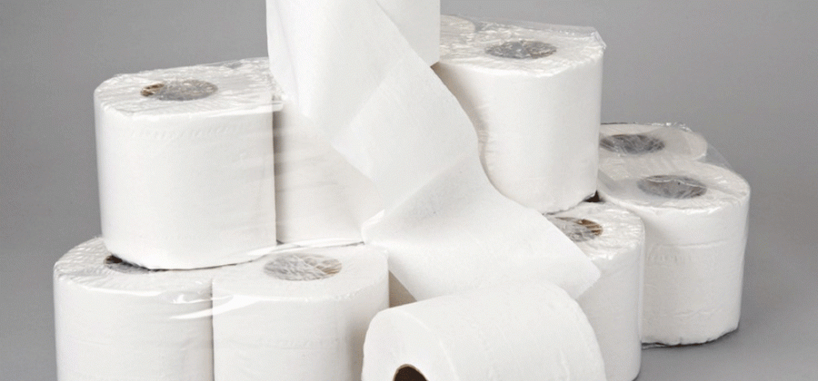 Vereadores de Feijó irão consumir quase R$60 mil só em papel higiênico até o final deste ano