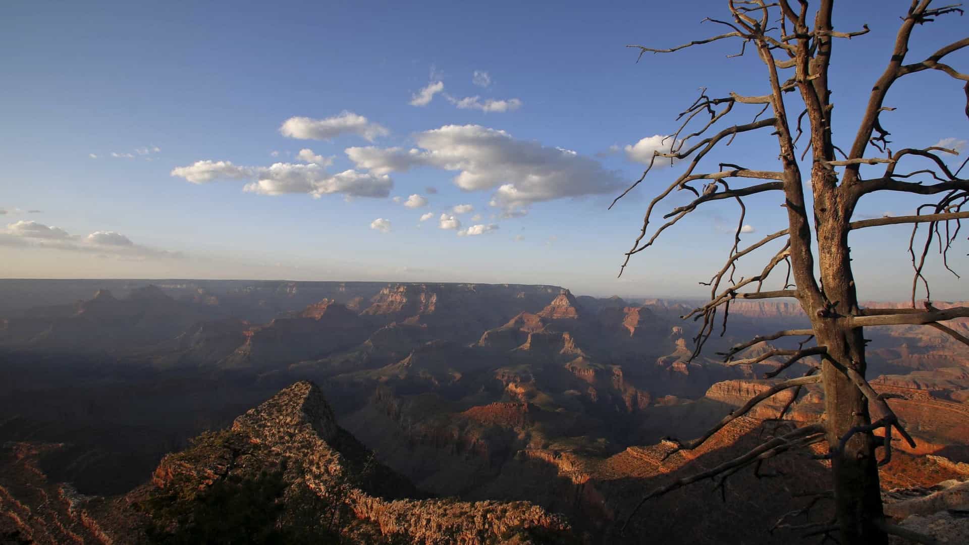 Homem cai em precipício no Grand Canyon; é a terceira morte em 8 dias