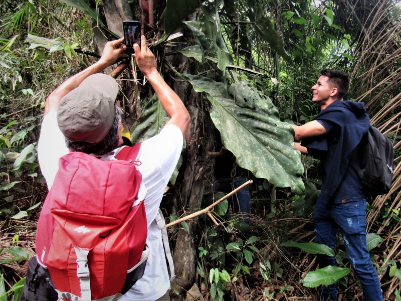 Acre é destaque no campeonato internacional de fotografia Desafio da Natureza Urbana