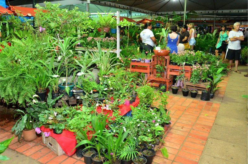 EcoFlores encerra neste domingo no Horto Florestal com estimativa de R$ 100 mil em vendasdesta