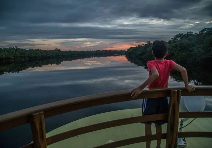 Explorando as maravilhas do coração selvagem da Amazônia