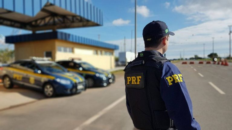 PRF faz apreensão recorde de maconha em Mato Grosso do Sul