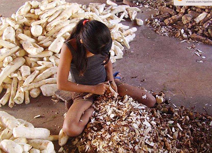 Trabalho infantil ainda é uma realidade no Acre que figura como oitavo no ranking nacional