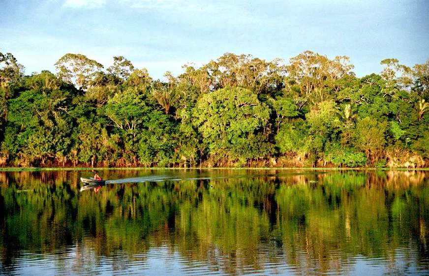 Alemanha e Noruega defendem verba milionária para proteção da Amazônia