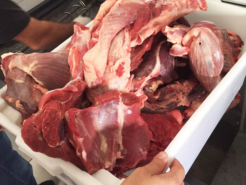 Vigilância sanitária apreende mais de 170 quilos de carne clandestina em Sena Madureira