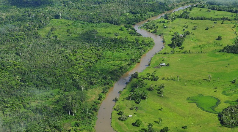 Aquecimento e desmate poderão cortar Amazônia ao meio em 2050