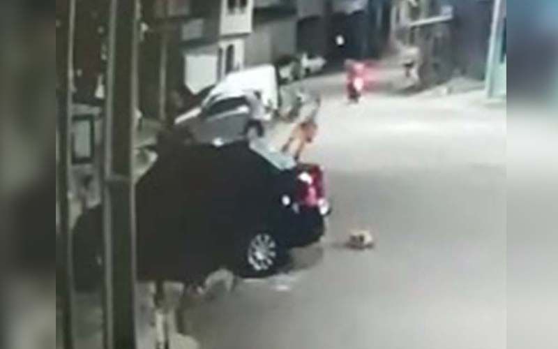 Vídeo mostra homem espancando cachorro após animal urinar em pneu