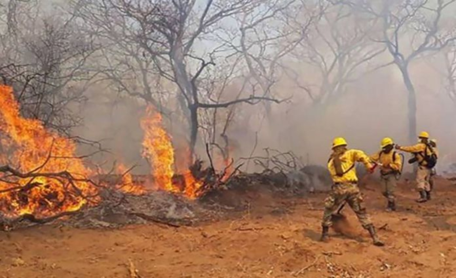 Bolívia perde quase meio milhão de hectares para incêndios florestais e preocupa autoridades