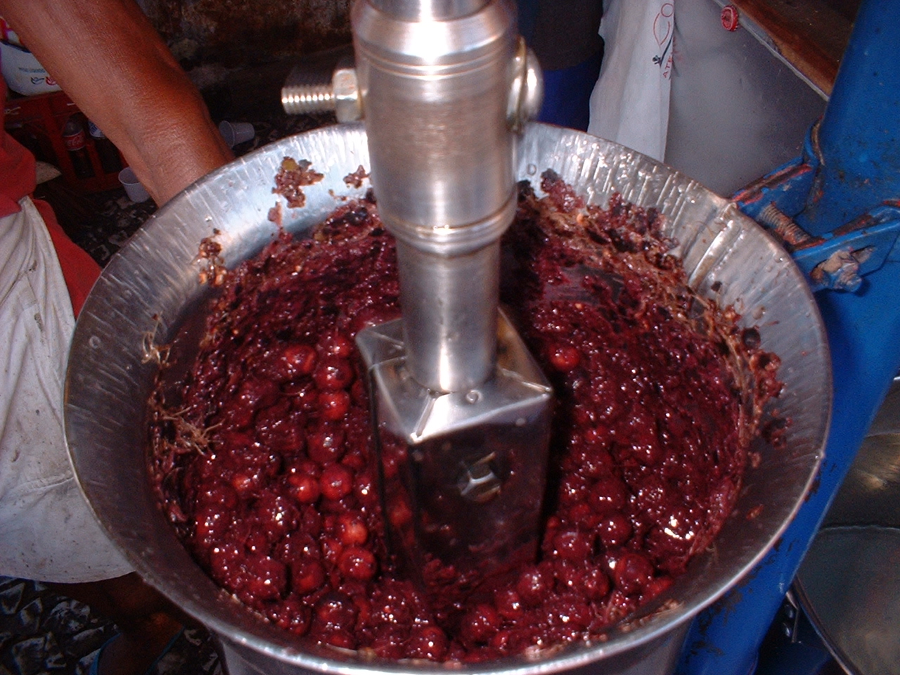 Lei que cria Selo de Qualidade do Açaí no Estado do Acre é sancionada