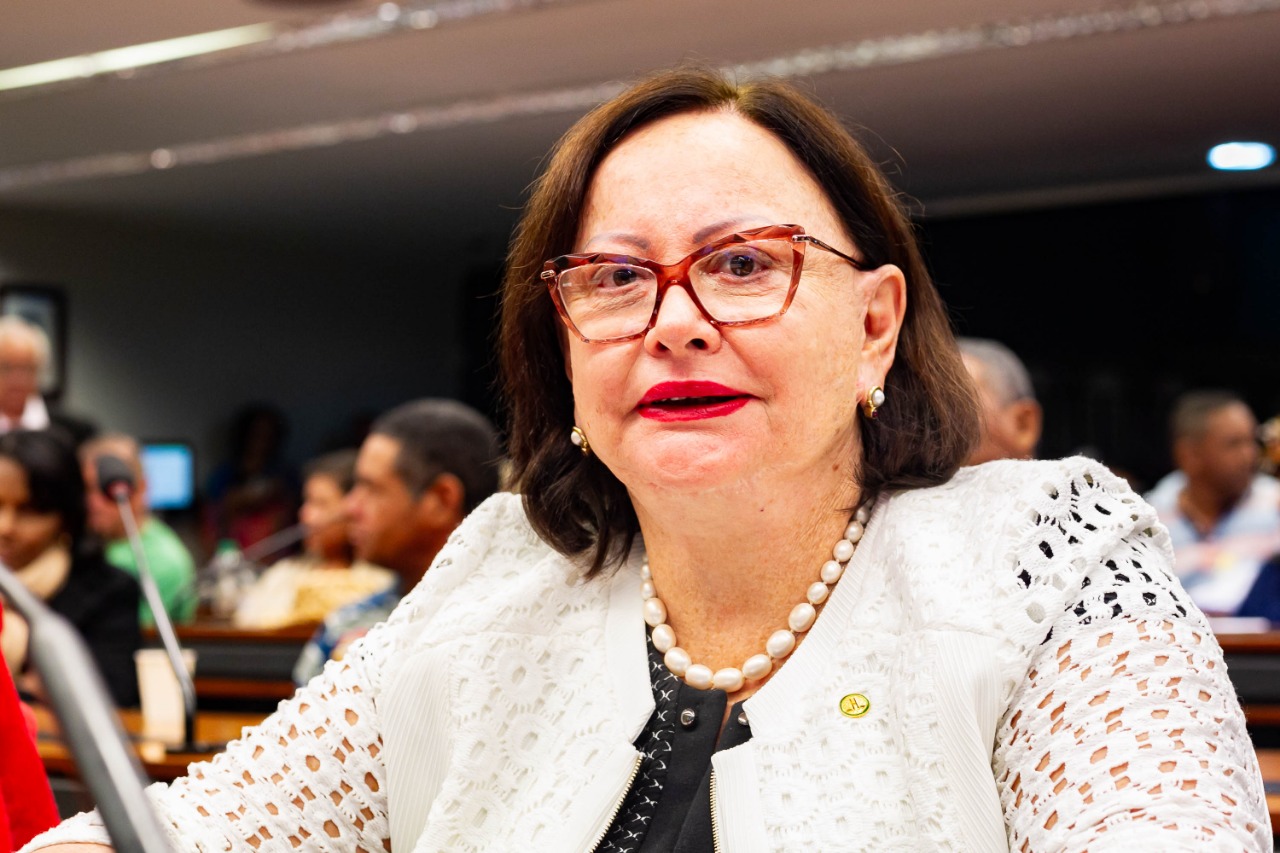 Combate às queimadas é prioridade do Governo do Estado, afirma Vanda Milani