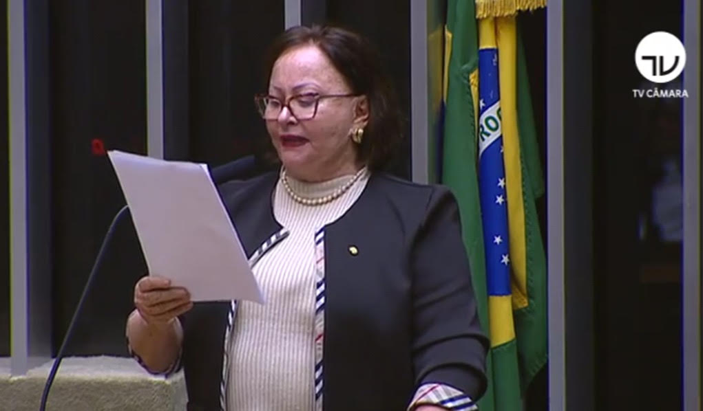 Vanda Milani destaca esforço dos governos Federal e Estadual contra as queimadas