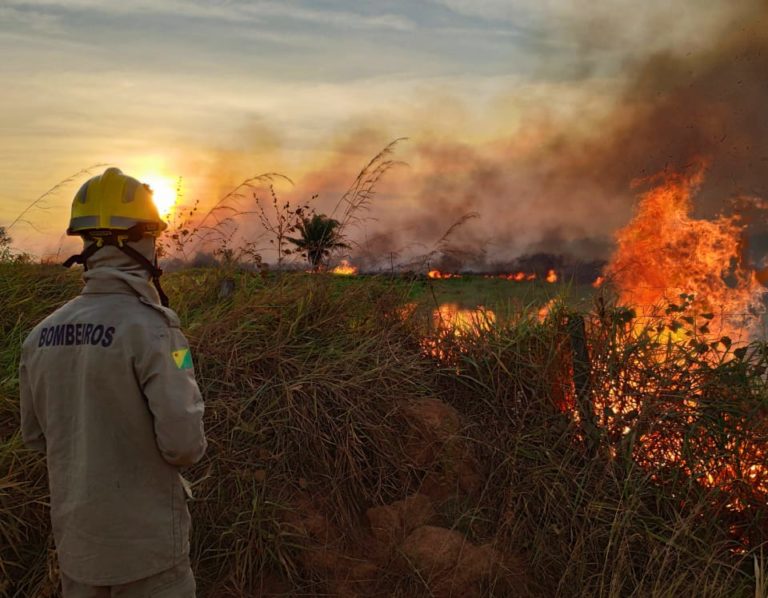 Ministério anuncia suspensão das operações contra desmatamento na Amazônia e queimadas no Pantanal
