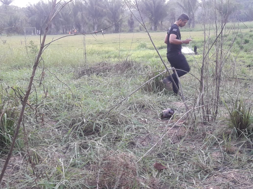 Cabeça com orelhas cortadas é encontrada no bairro Taquari