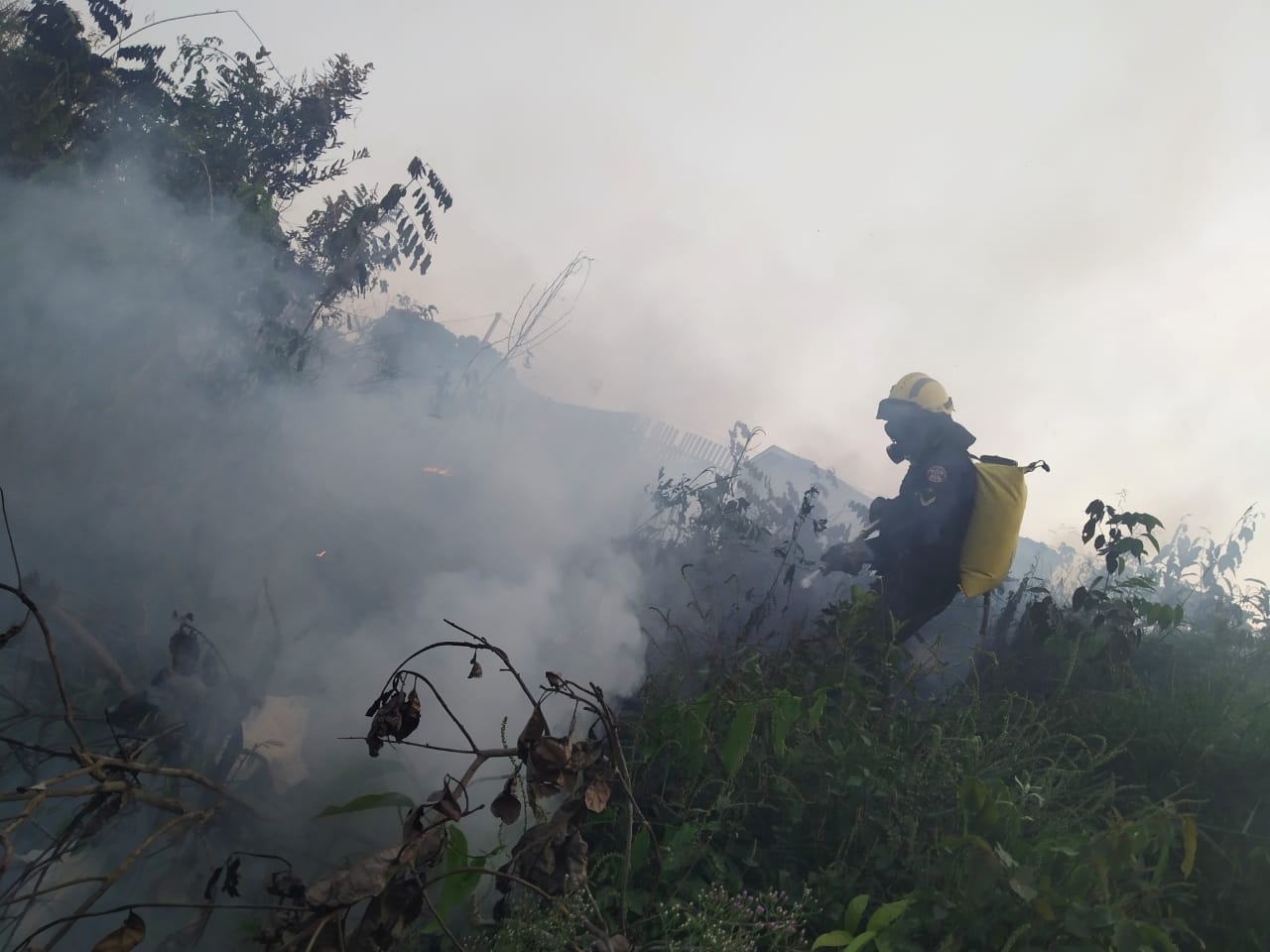 Ibama autoriza contratação de 15 brigadistas para combater e prevenir incêndios no Acre