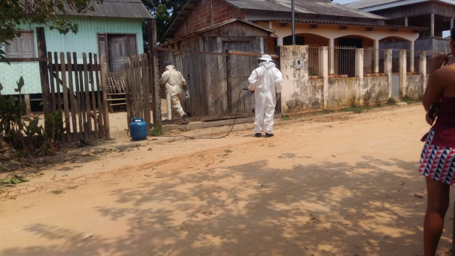 Abelhas matam cachorro e homem vai parar no hospital após ataques no interior do Acre