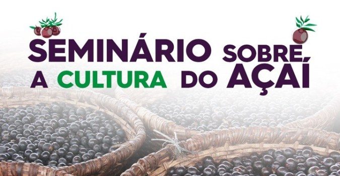 Governo e Banco da Amazônia realizam seminário sobre a cultura do açaí