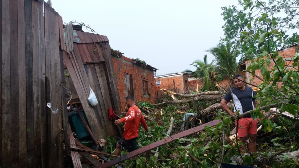 Árvore destrói casa após a forte ventania deste sábado e família pede ajuda