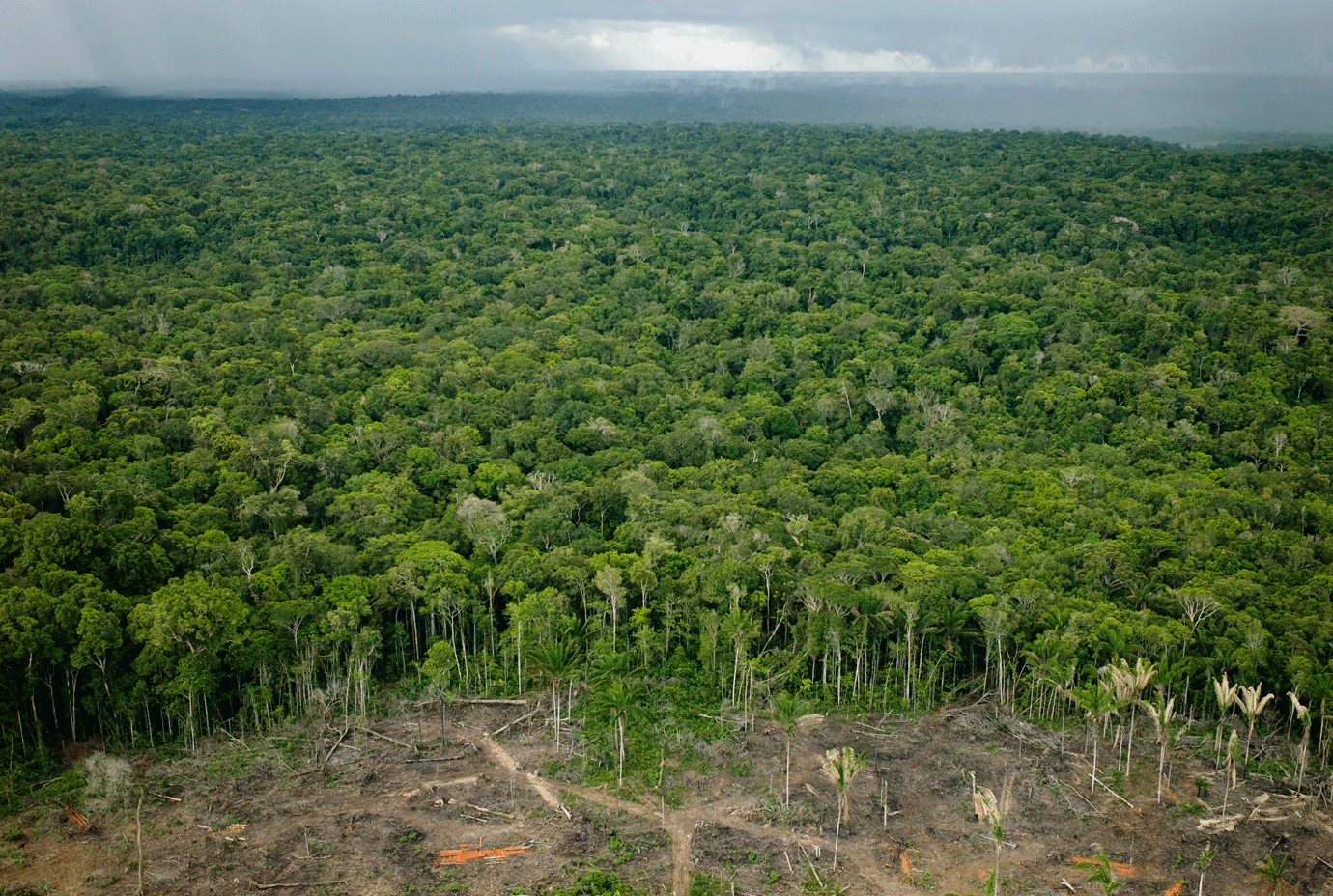 Acre desmatou quase 700 km² de floresta em 2019, segundo estudo do Inpe