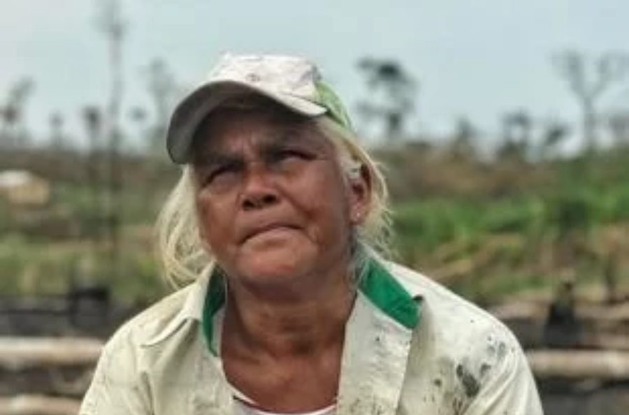 Agricultora perde produção durante queimadas e vaquinha online pode ajudá-la
