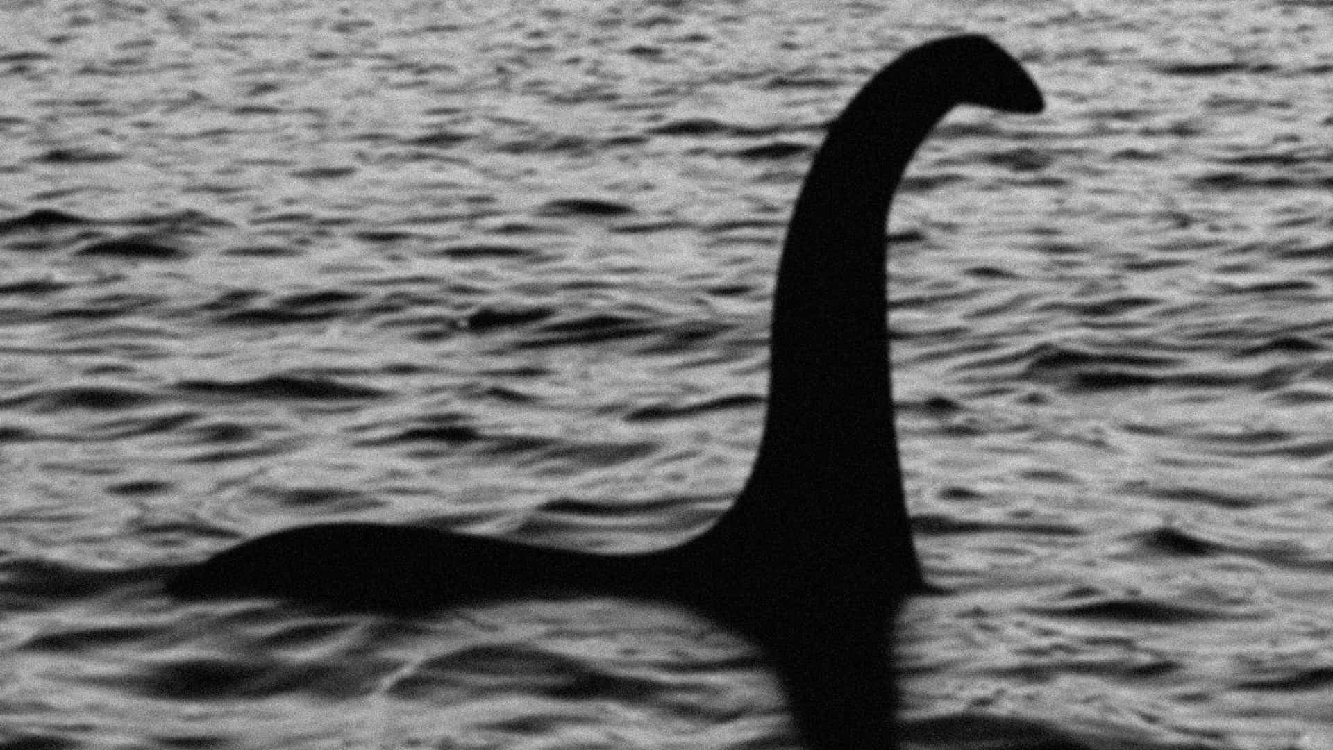 DNA sugere que ‘monstro’ do Lago Ness pode ser enguia gigante