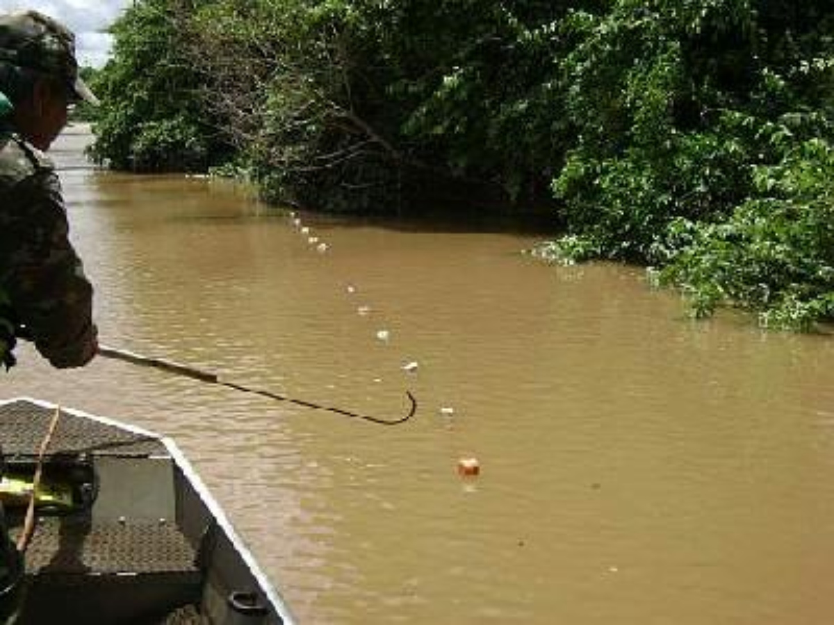 Idoso de 79 anos é internado após ser ferido por esporão de peixe no Rio Iaco