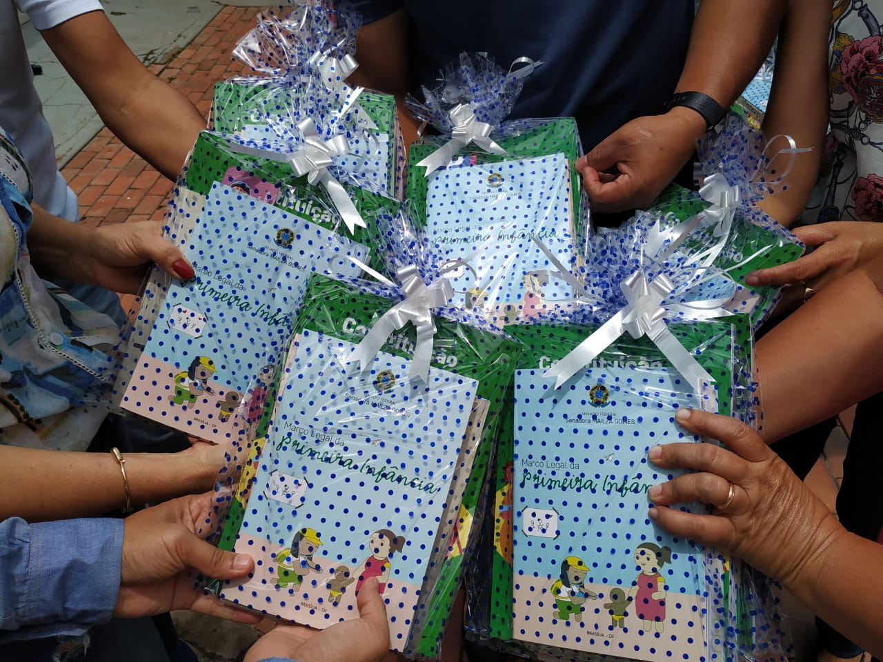 Senadora Mailza Gomes promove entrega de livros para o Acre