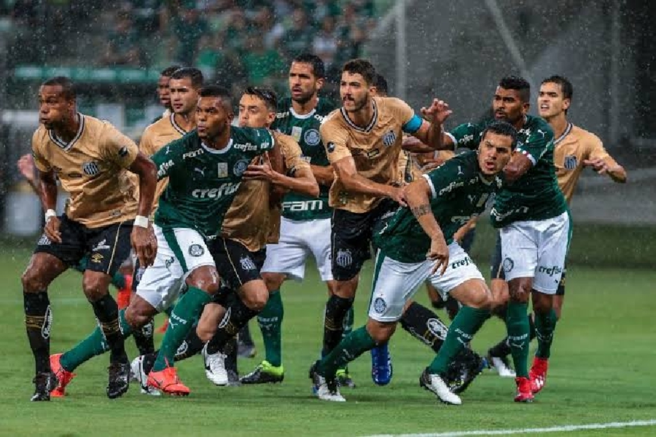 Santos deve denunciar Felipe Melo por ofensa à torcida durante clássico