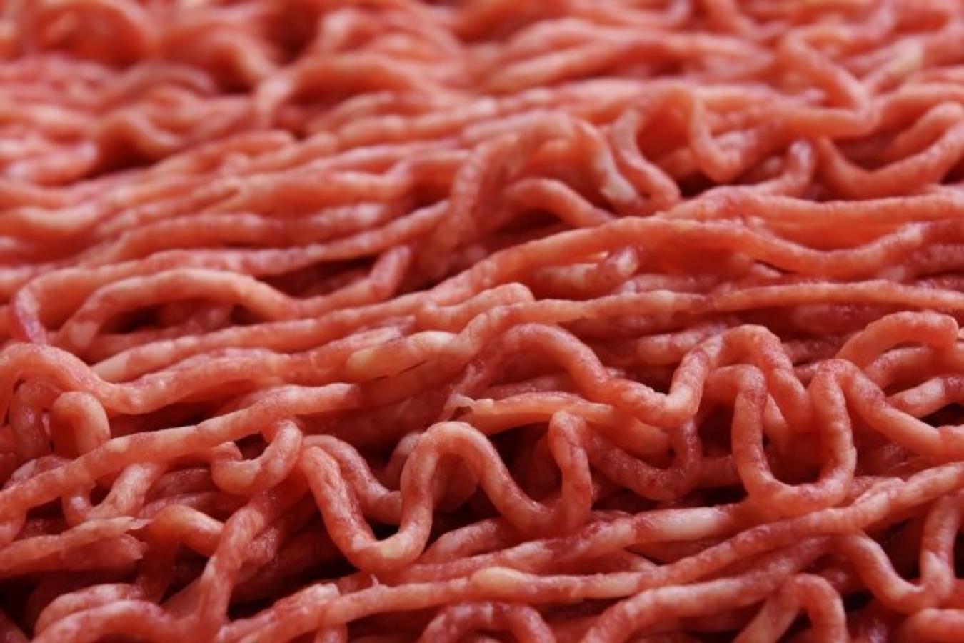 Família matava cachorros e gatos para vender linguiça feita com a carne em feira