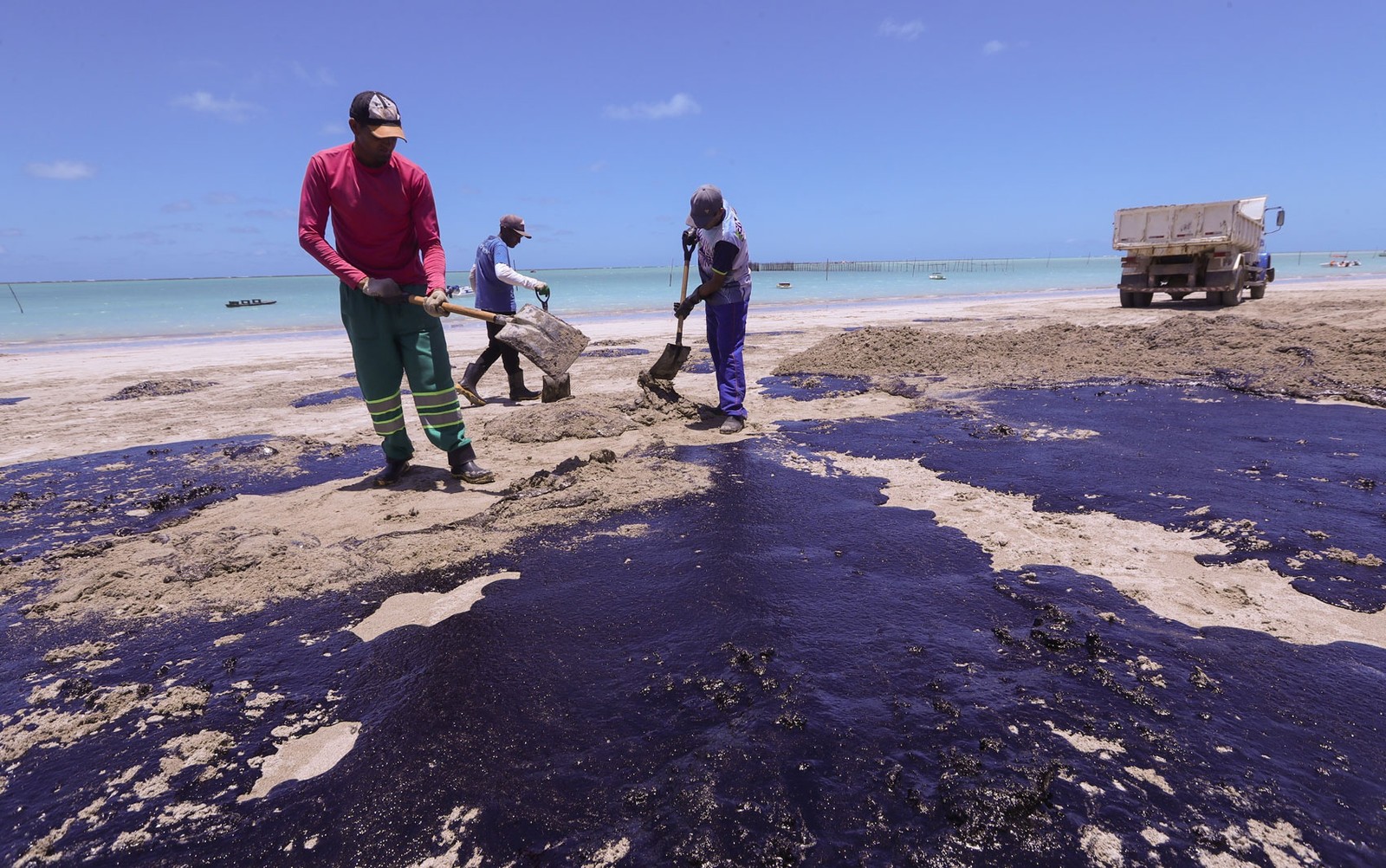 Praias paradisíacas e famosas: veja em quais delas apareceram manchas de óleo