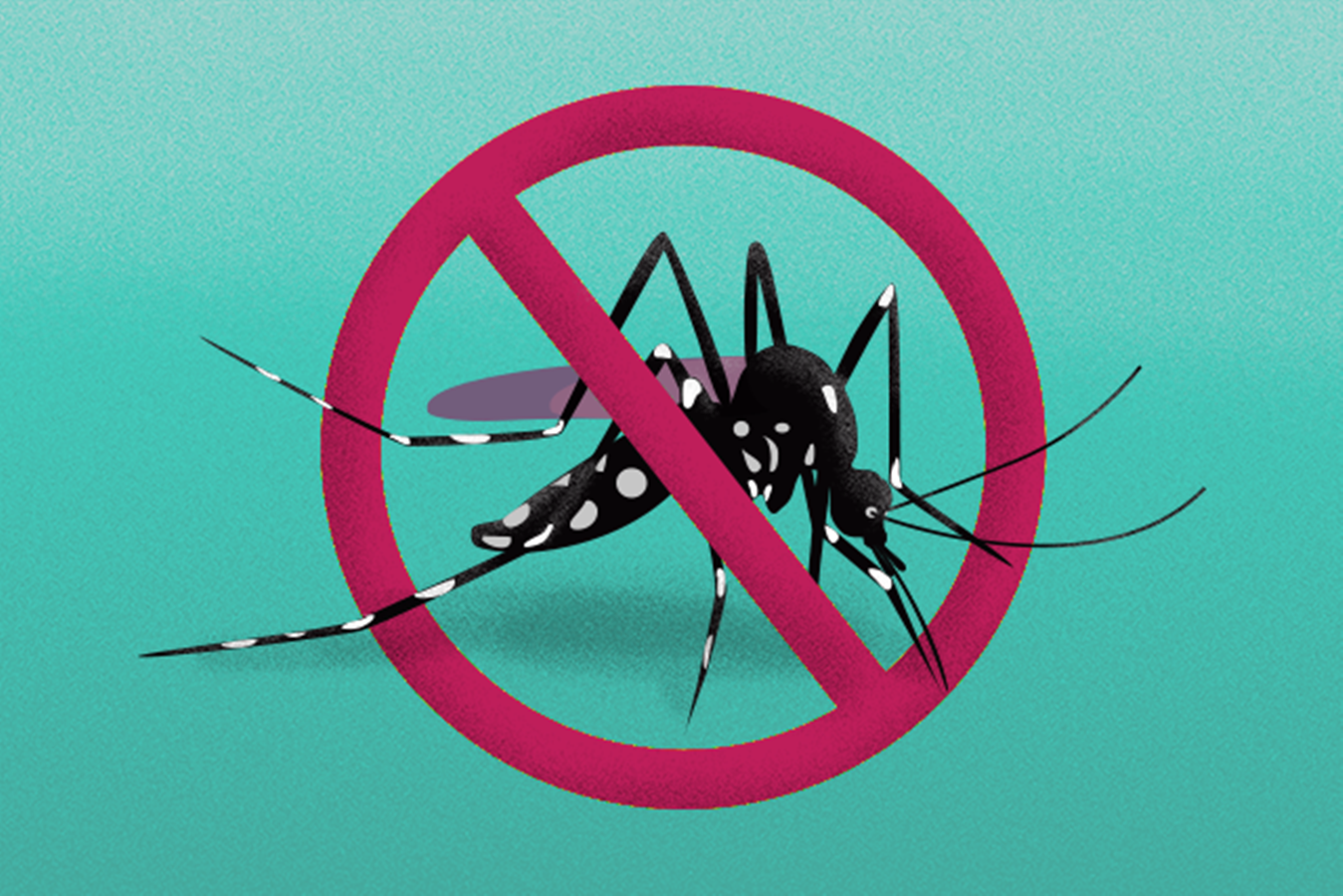 Prefeitura de Cruzeiro do Sul reforça importância do combate ao mosquito da dengue