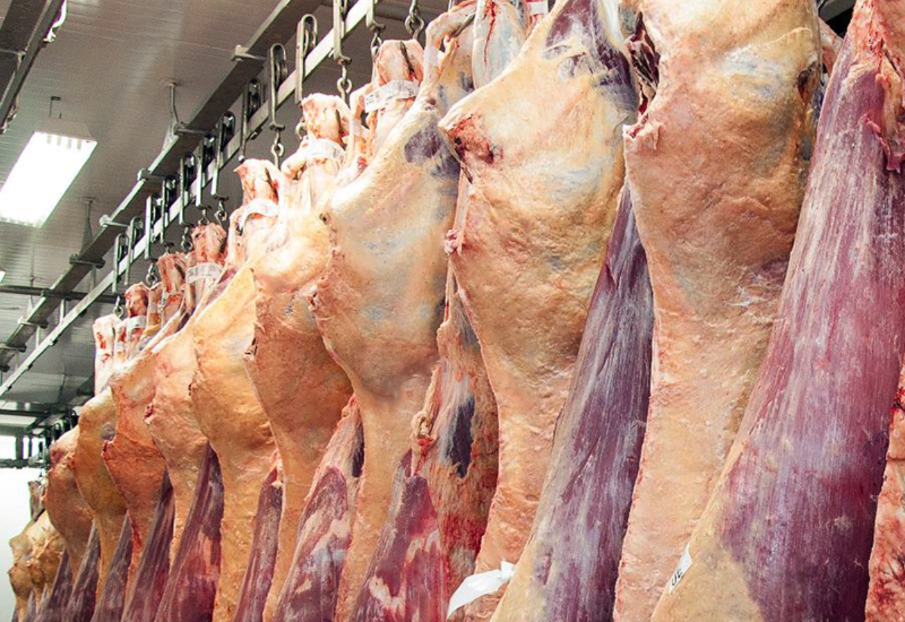 Pecuaristas locais comemoram aumento no preço da arroba do boi em todo o país