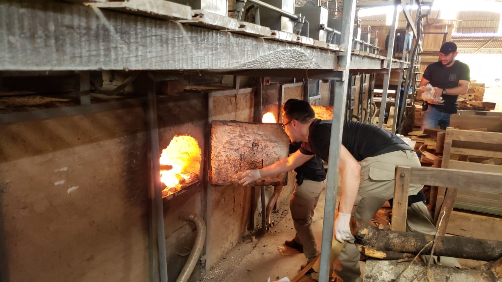 Mais de 700 quilos de drogas são incinerados em Rio Branco