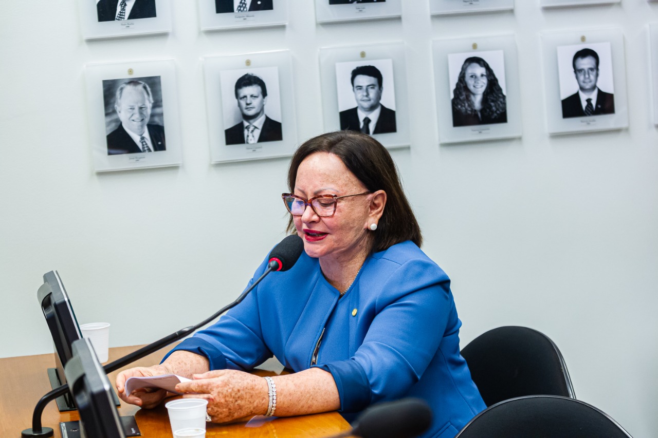 Regularização fundiária é instrumento de desenvolvimento social, diz Vanda Milani