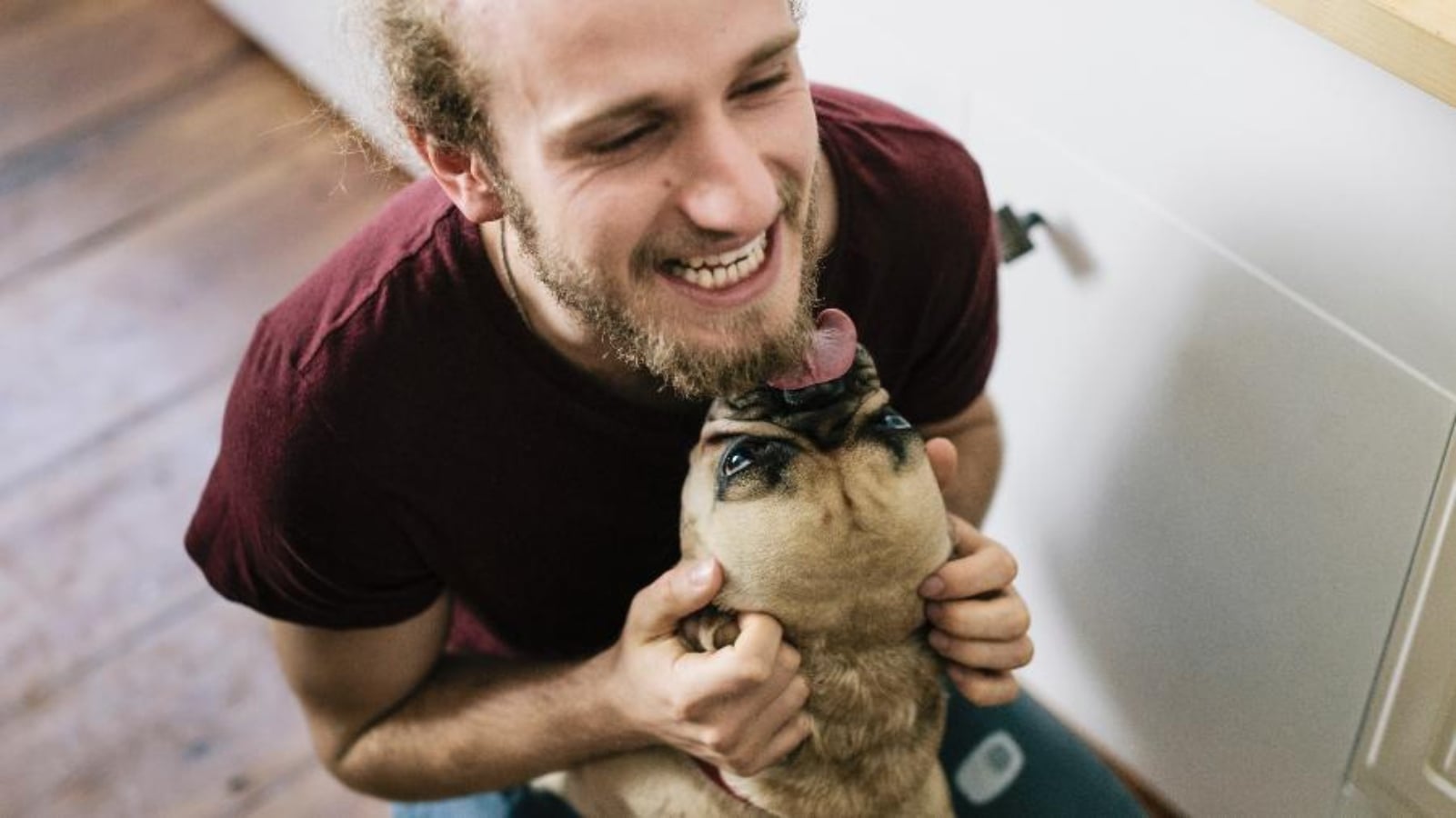 Homem morre ao contrair infecção rara através de lambida de cachorro