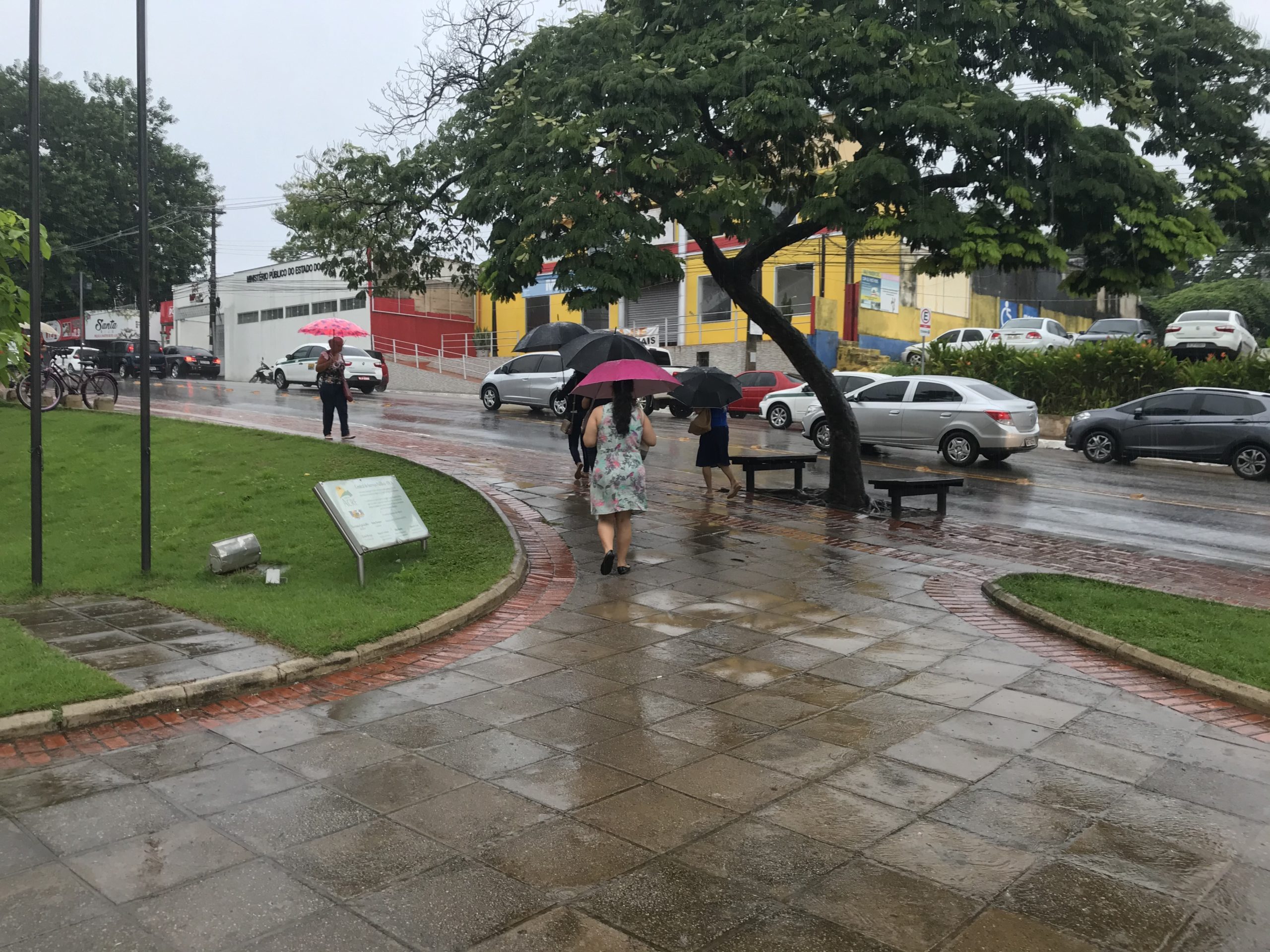 Ambulantes faturam com venda de guarda-chuvas; vendedor diz esperar vender mil unidades