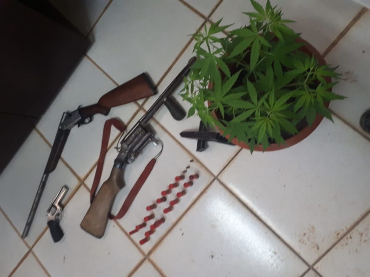 Polícia prende três pessoas, apreende armas e pé de maconha em Acrelândia