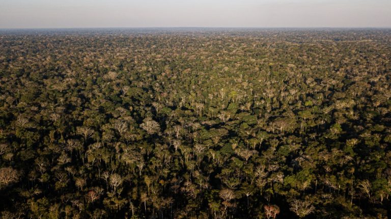 Entidades do AC repudiam exoneração de gestor da Resex Chico Mendes: “Desmonte”, denuncia Leo de Brito