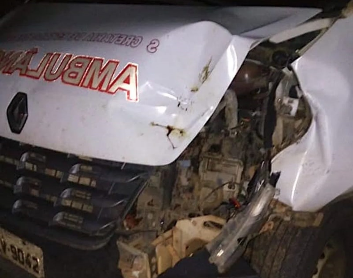 Ambulância do Samu se choca com animal na BR-317