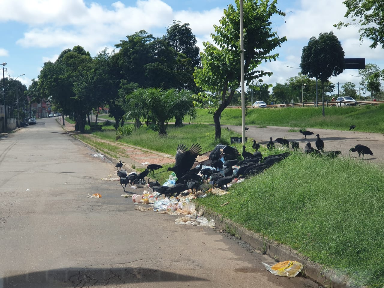 Moradora flagra lixo que teria sido despejado na rua por lanchonete no Tucumã