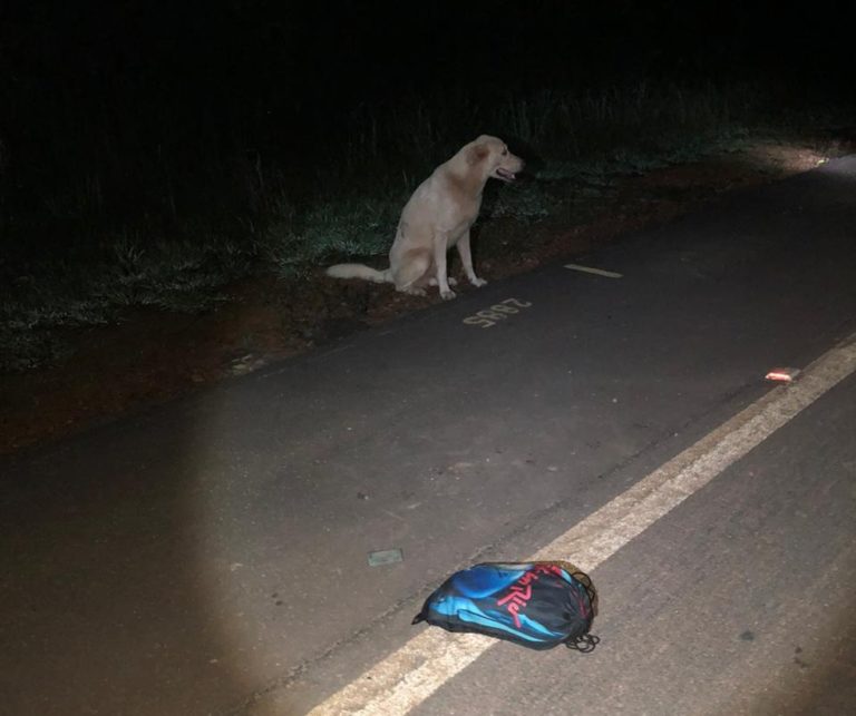 Jovem morre atropelado e cachorro permanece ao lado do corpo, em RO